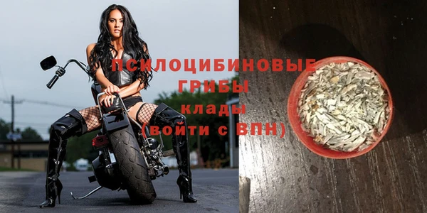 a pvp Алексин